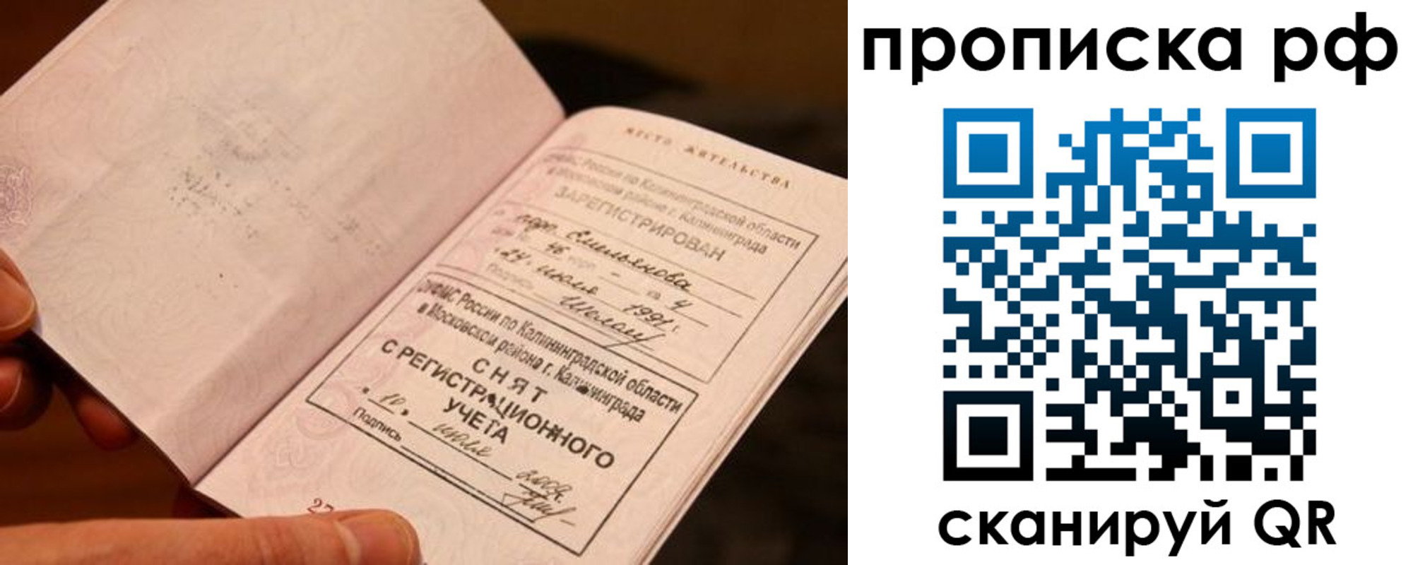 прописка гарантия в Арамили